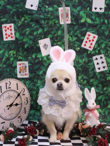 20250405とわくん　